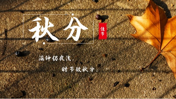 樓上樓門窗 | 白露秋分夜,一夜冷一夜，高端門窗安排上！